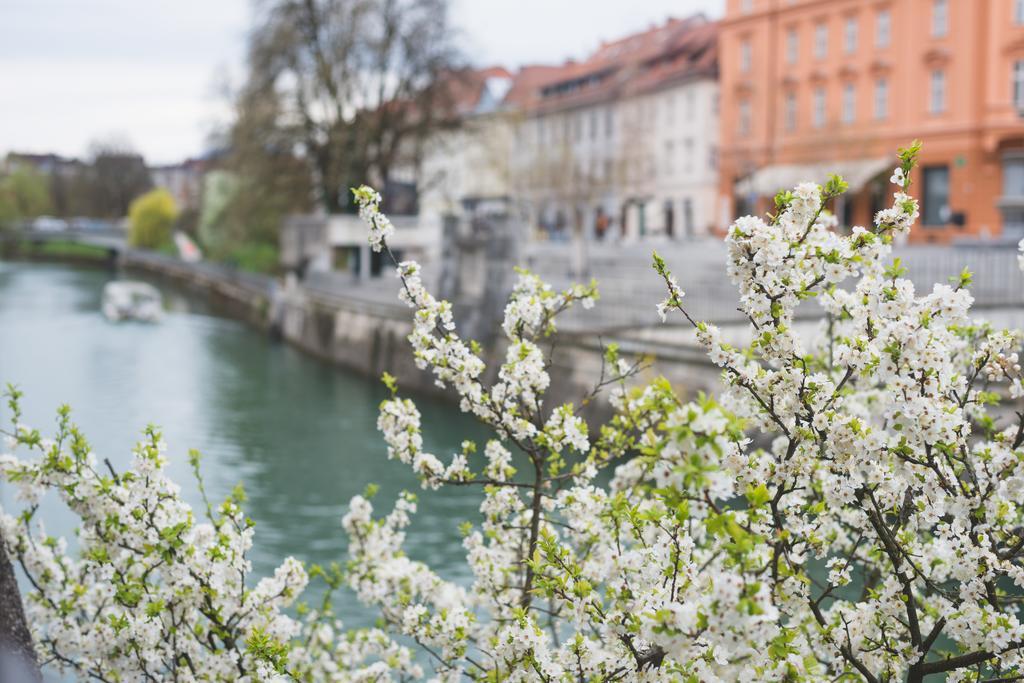 Sweet 16 Studio Ljubljana Ngoại thất bức ảnh